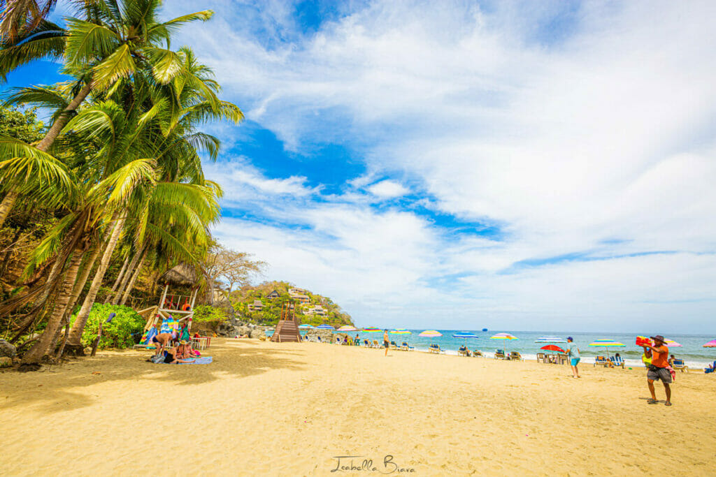 A lively beach lined with tall palm trees on the left and colorful umbrellas stretching along the shore. Families and tourists relax on the sand, with houses visible on a hill in the background.