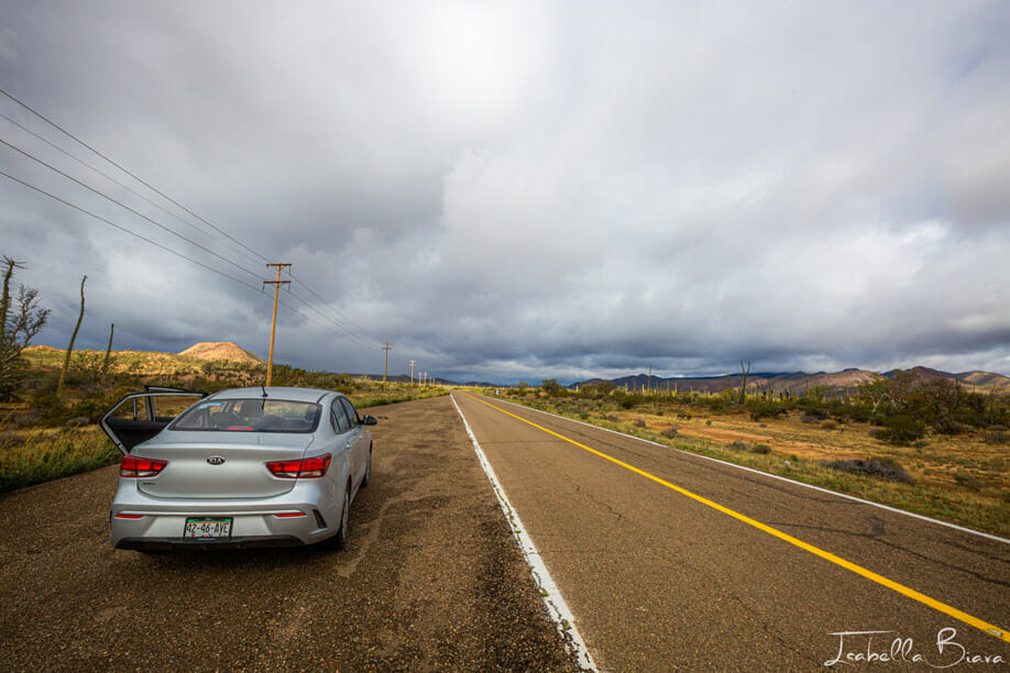 Car rental in baja