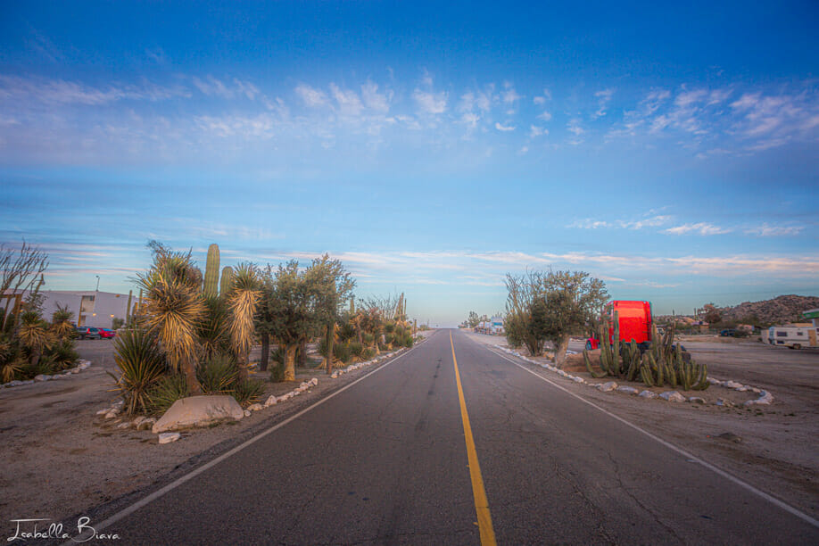 Cataviña Desert road