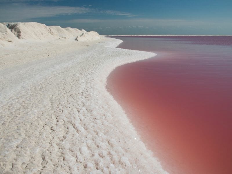 Las Coloradas pink water