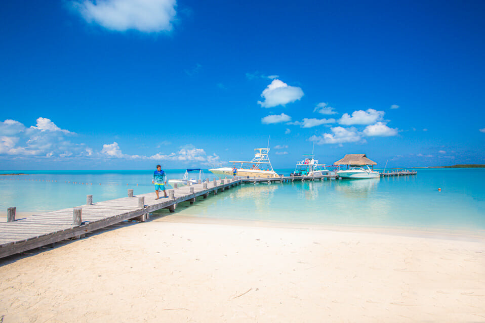 Visiting Isla Contoy is one of the amazing things you can do in the RIviera Maya