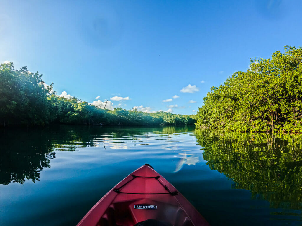 Kayaking in the nichupte' lagoon