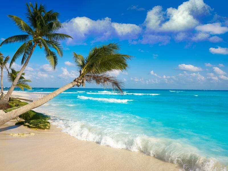 Crashing waves on beach with palm trees on the left side