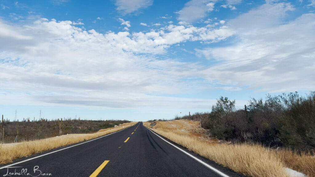 Baja California Roads