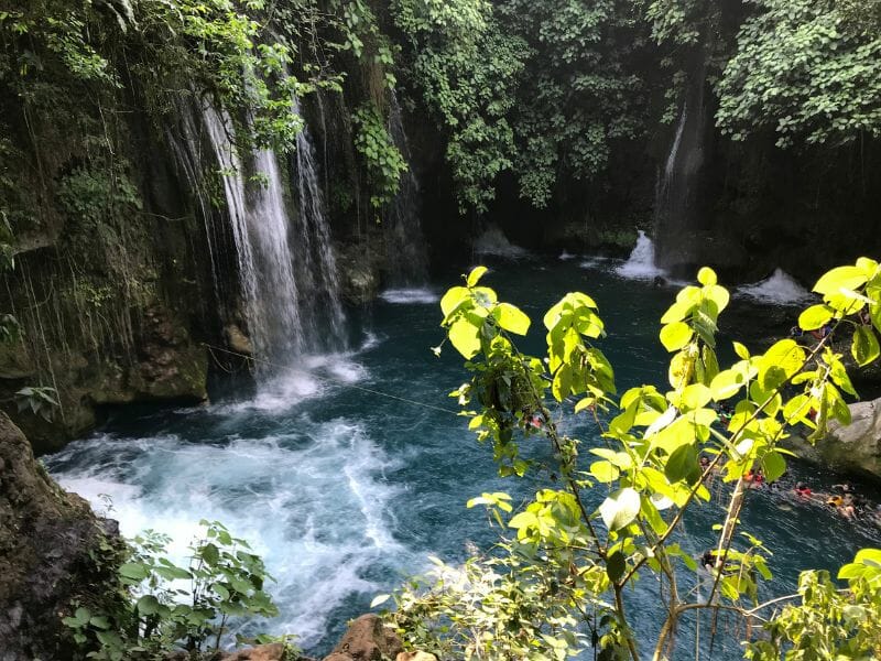 Waterfall surrounded by vegetation