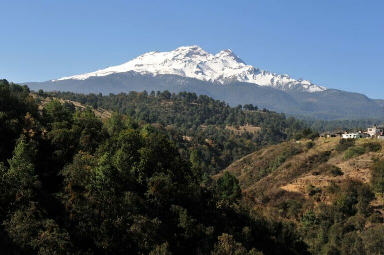 View of the Iztaccihuati Volcano surrounded by trees.