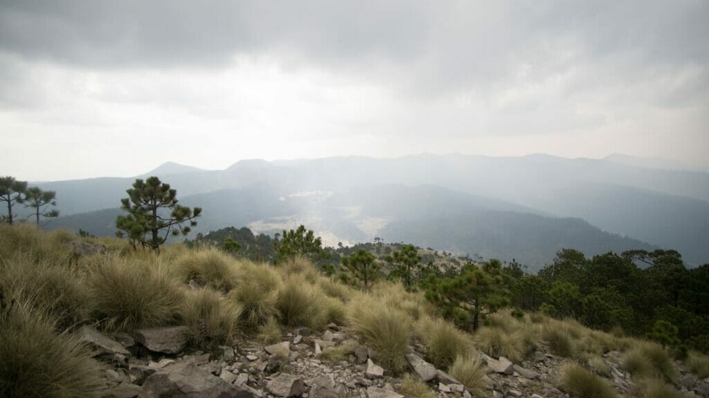 View of a field in Ajusco good for hiking - one of the best day trips from Mexico City.