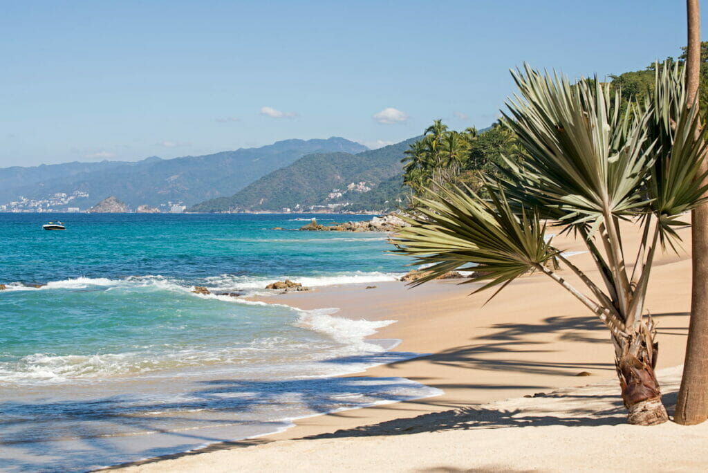 A beach in Puerto Vallarta with white sand and palm trees - Puerto Vallarta in November.
