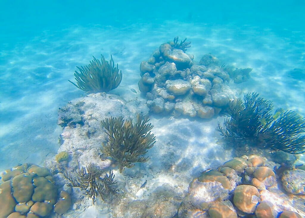 View of the Akumal Beach with coral reefs.