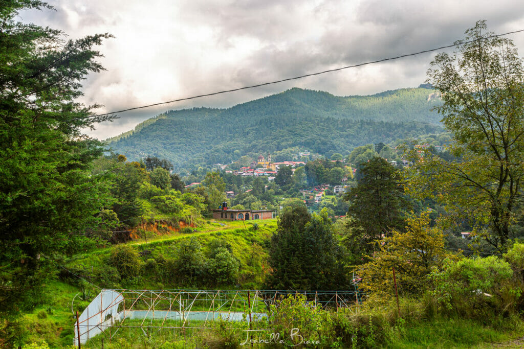 Mineral del Chico surrounding forest.