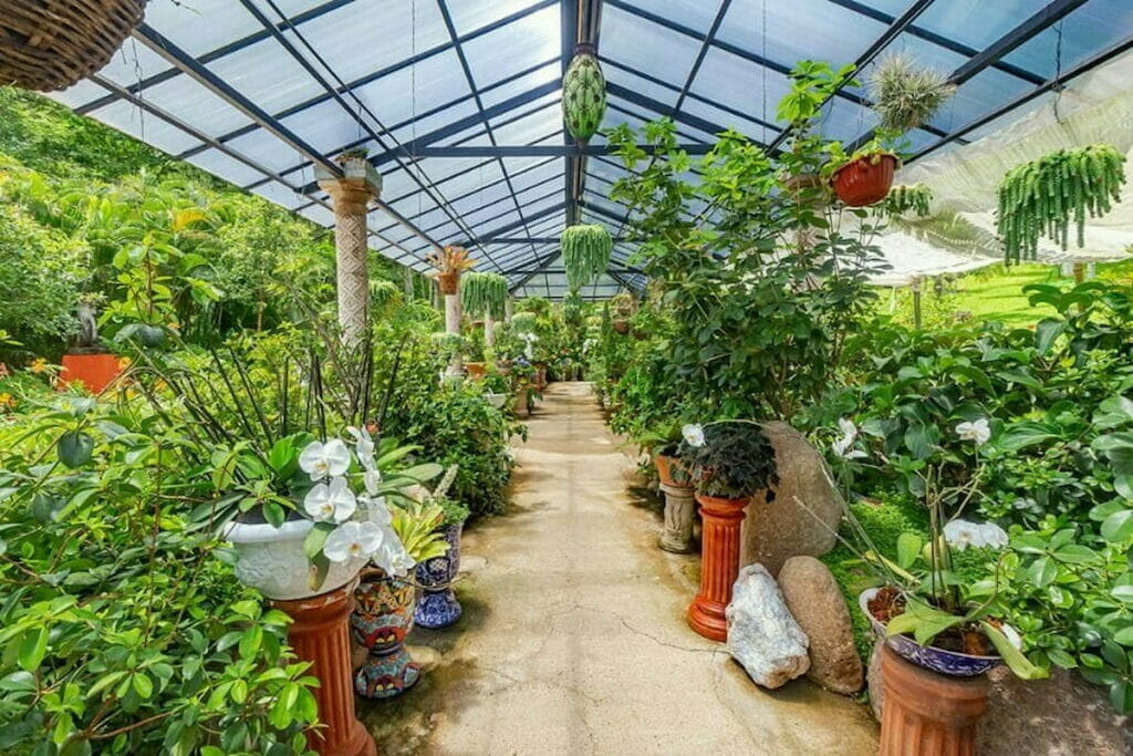 Puerto Vallarta Botanical Garden