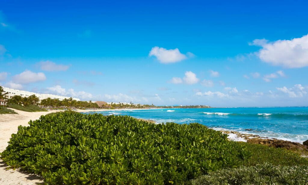 View of the Akumal Beach near Playa Xcacel.