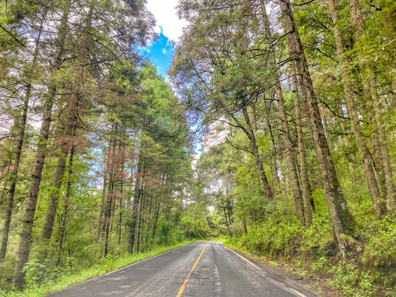 Road to Mineral del Chico town.