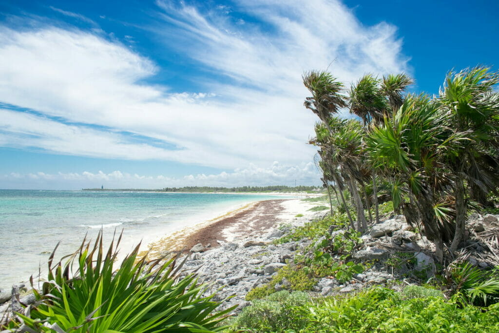 The beautiful shore of Playa Xcacel surrounded by trees on a sunny day.
