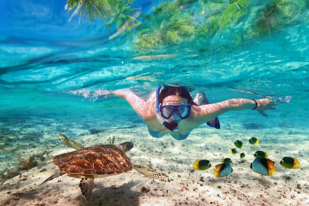 A woman snorkeling on a beach in Mexico.