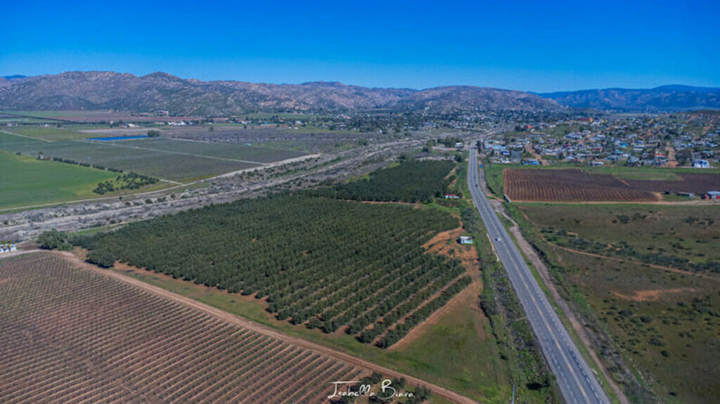 Aerial view of Valle de Guadalupe.