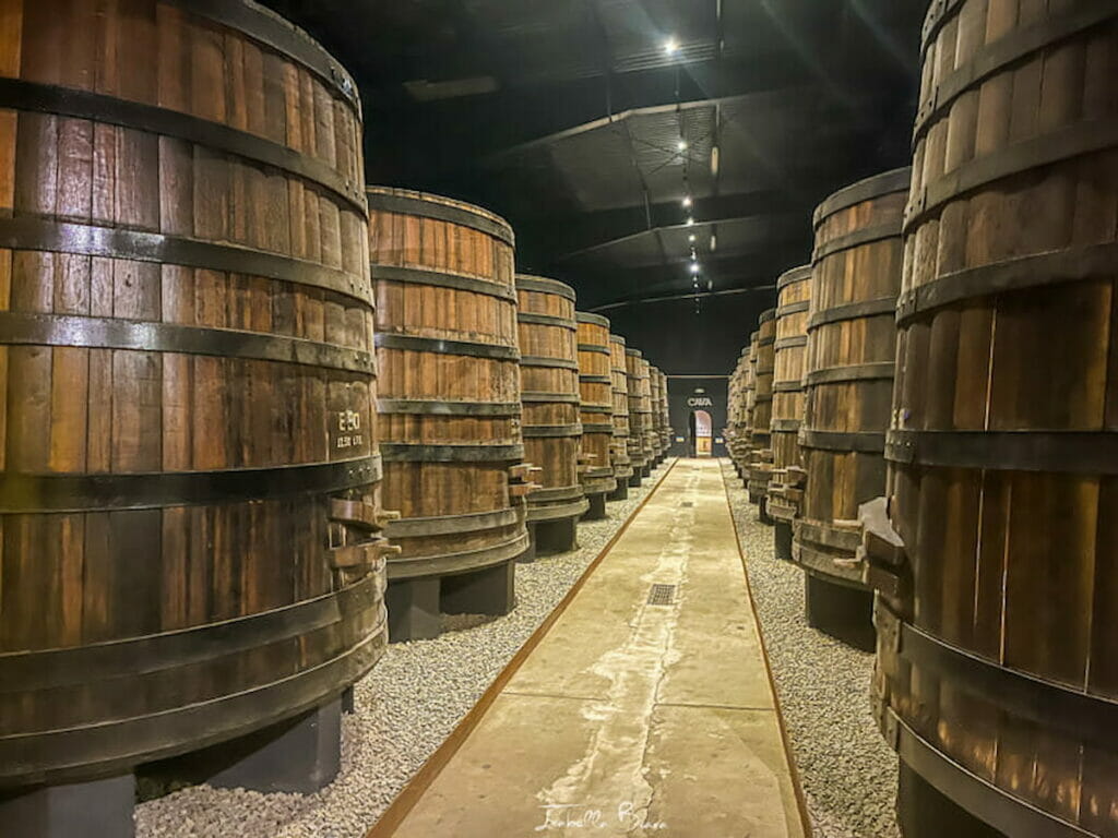 Huge kegs in Valle de Guadalupe.