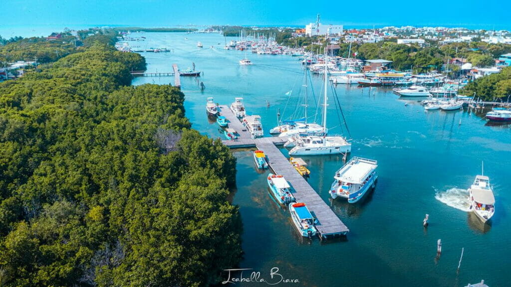 Aerial view of boats in Isla Mujeres.