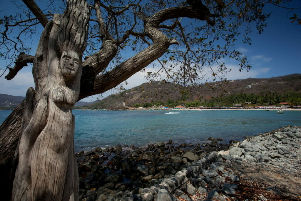 A carved tree near the Ixtapa Beach.