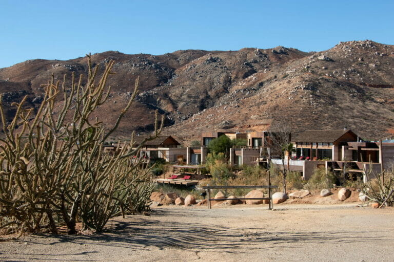 Hotel complex in Valle de Guadalupe surrounded by cacti.