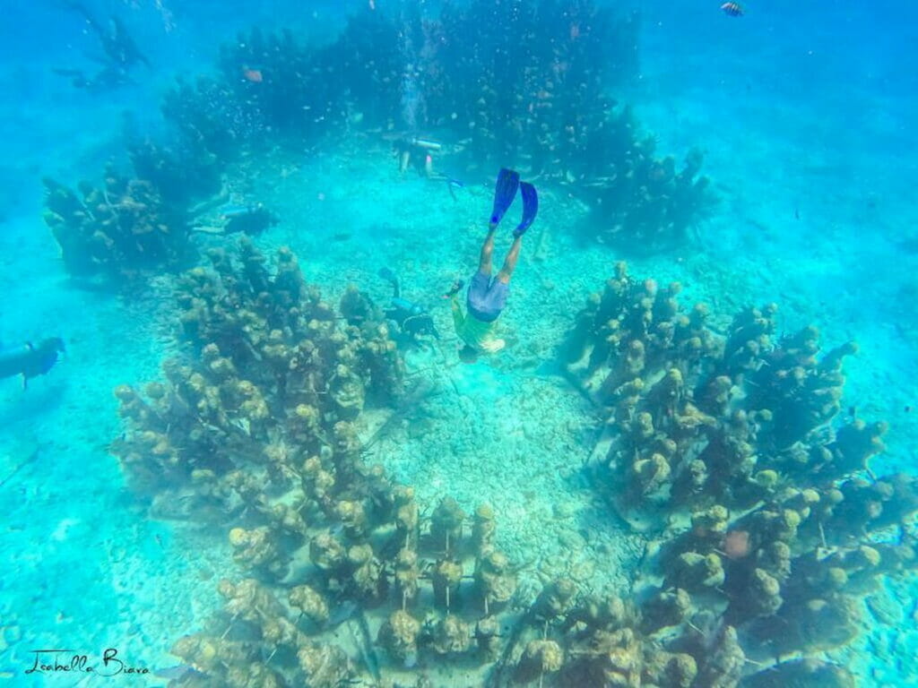 View of the Underwater Museum in Isla Mujeres - Playa del Carmen to Isla Mujeres.