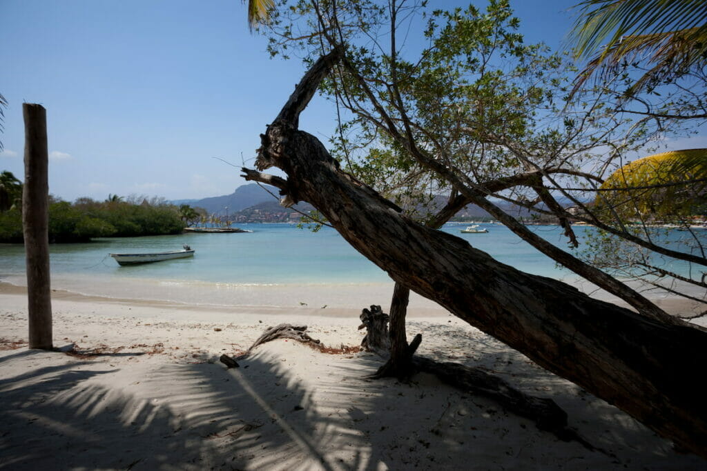 A tree trunk on the shore of Playa Las Gatas in Ixtapa-Zihuatanejo.