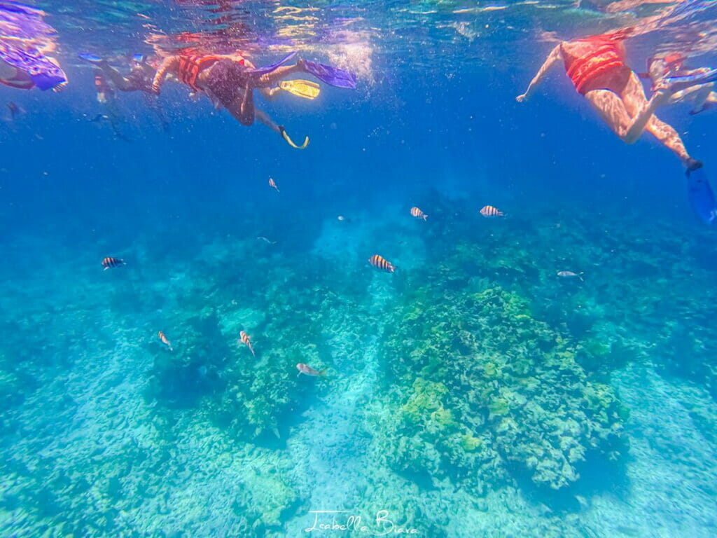 People snorkeling at Isla Mujeres.