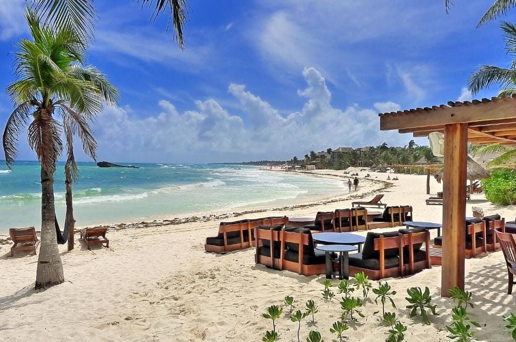 Beachfront view with palm trees, lounge chairs, and a wooden seating area. People walk along the shoreline under a vibrant blue sky.