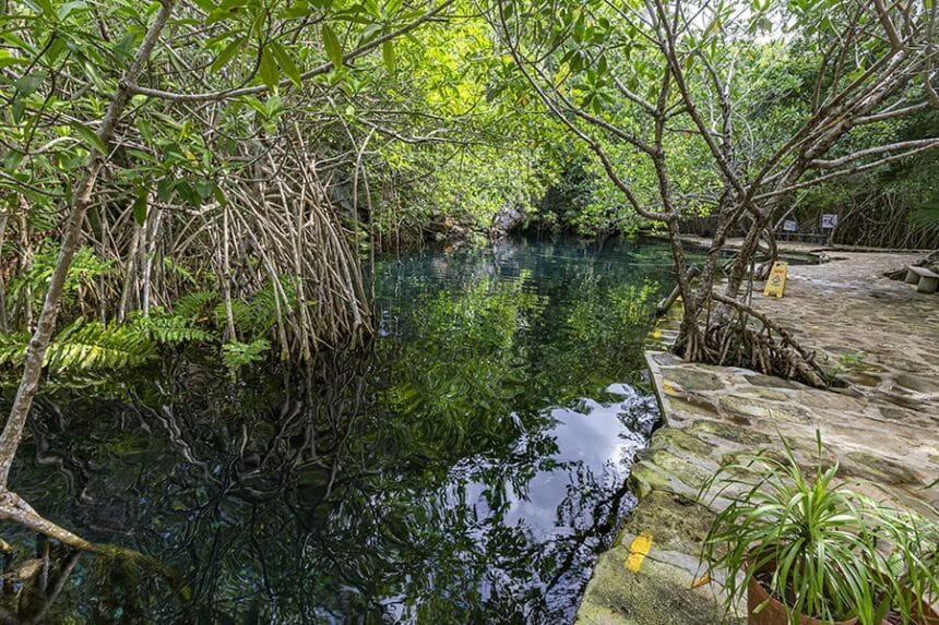 Cenote Cristalino Playa Del Carmen overview