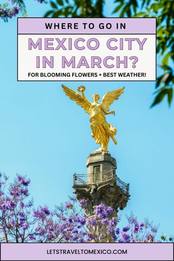 Pinterest image saying "Mexico City in March".