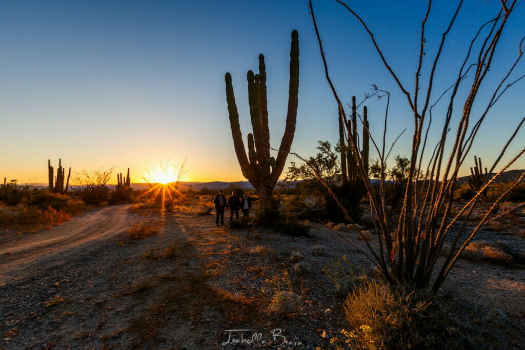 Sierra de Los Gigantes sunset tour.