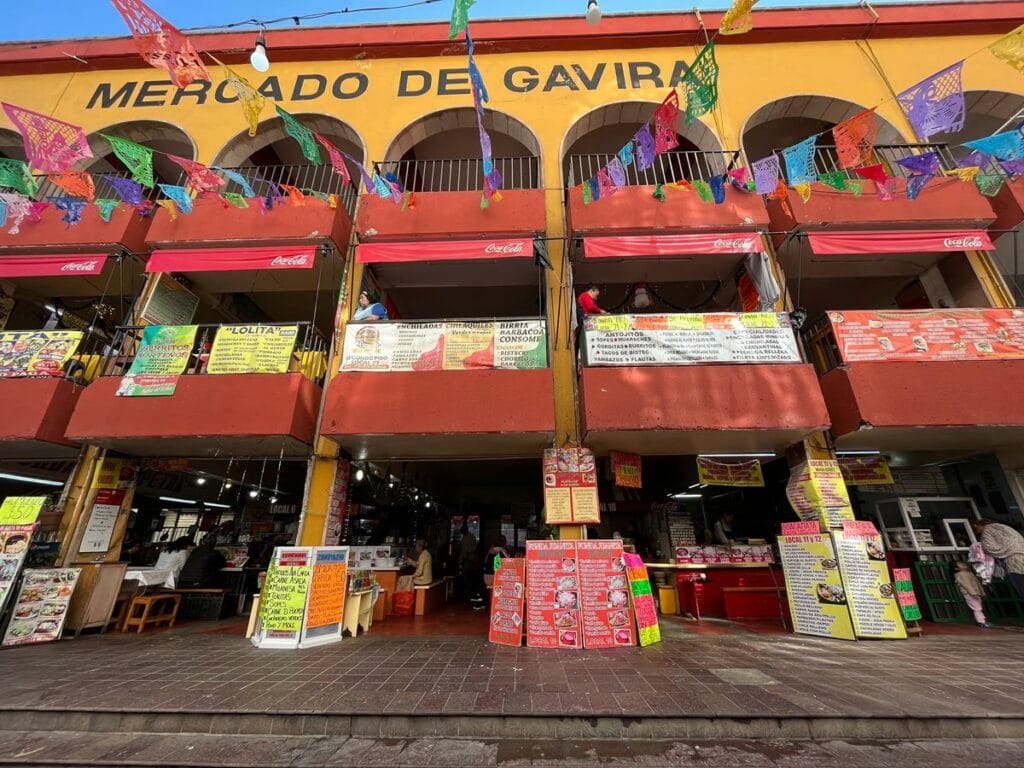 Guanajuato food market Hidalgo