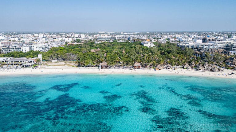 Aerial view of Playa del Carmen beach with turquoise Caribbean waters in the foreground and a white sandy shoreline lined with palm trees and thatched-roof cabanas. Behind the lush greenery, the cityscape of Playa del Carmen stretches out with mid-rise buildings under a clear blue sky.