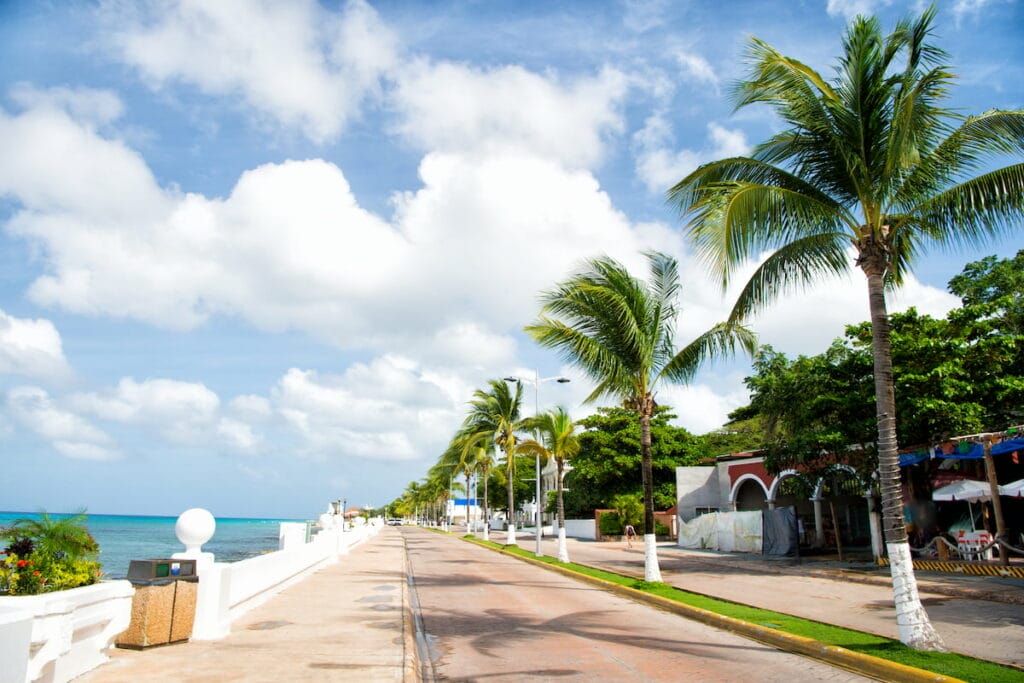 Narrow road in Cozumel surrounded by palm trees.