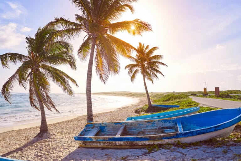 A boat near the beach of Cozumel surroumded by palm trees.