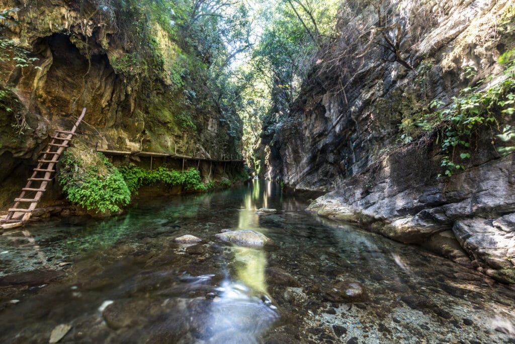 Canon Langosta Sierra Gorda