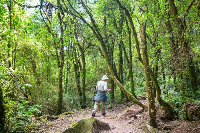 Hiking Trails