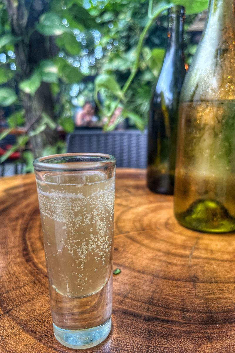 Nixtamal restaurant kombucha