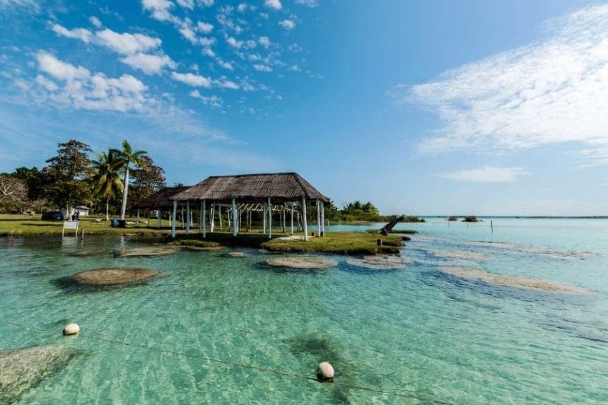 bacalar