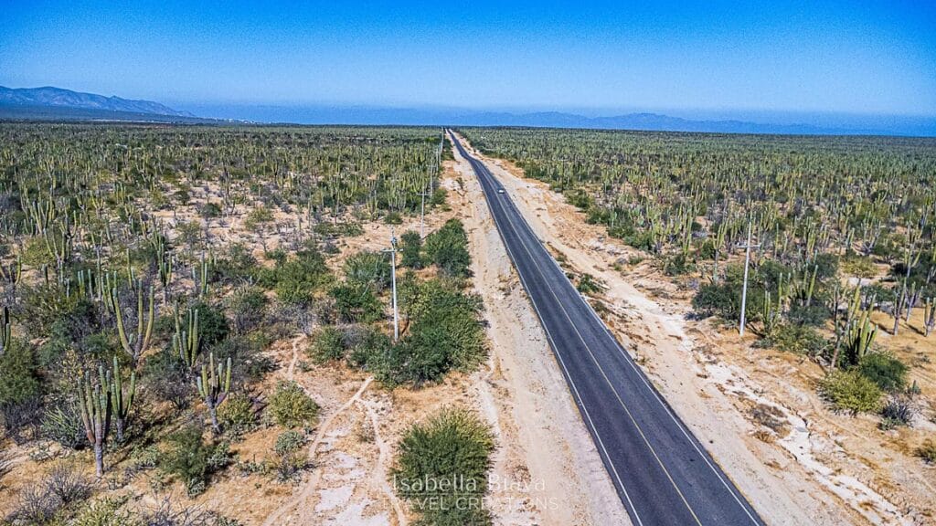 Baja Road