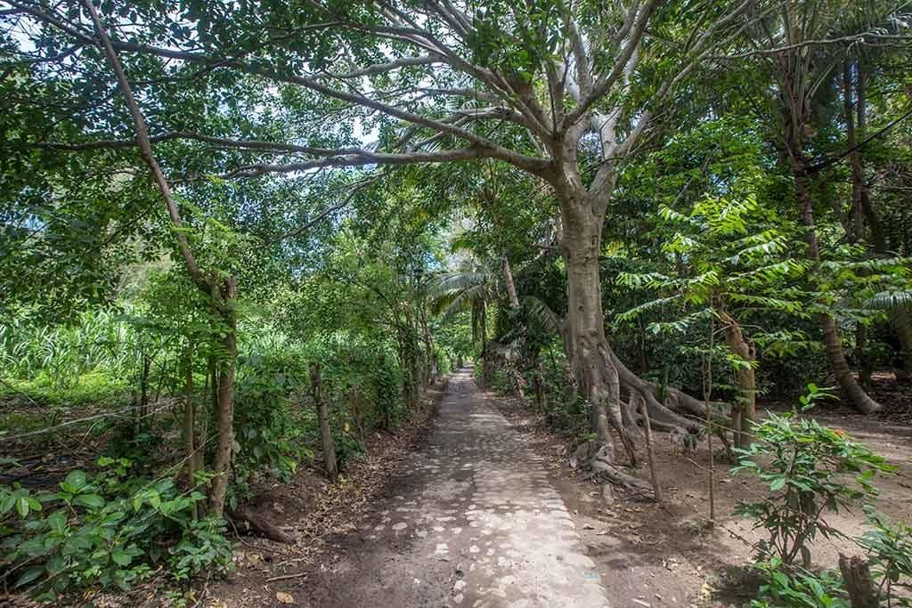 How to make the most out of your trip to Yelapa - Boundless Roads