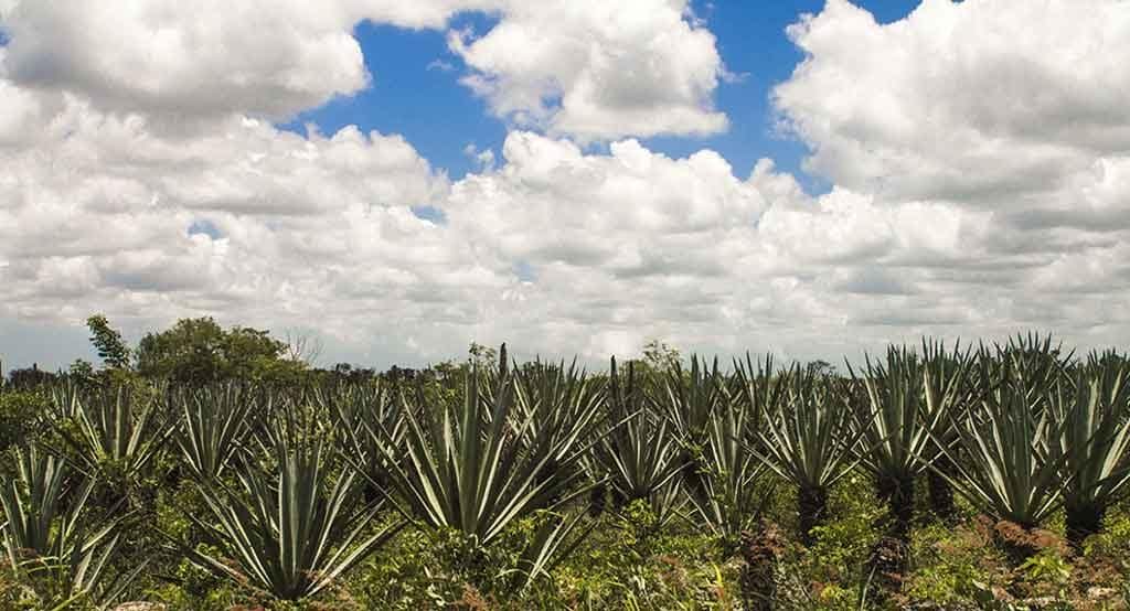 Izamal: The magic yellow town - Boundless Roads