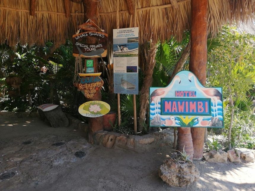 Isla Holbox Hotels - mawimbi entrance