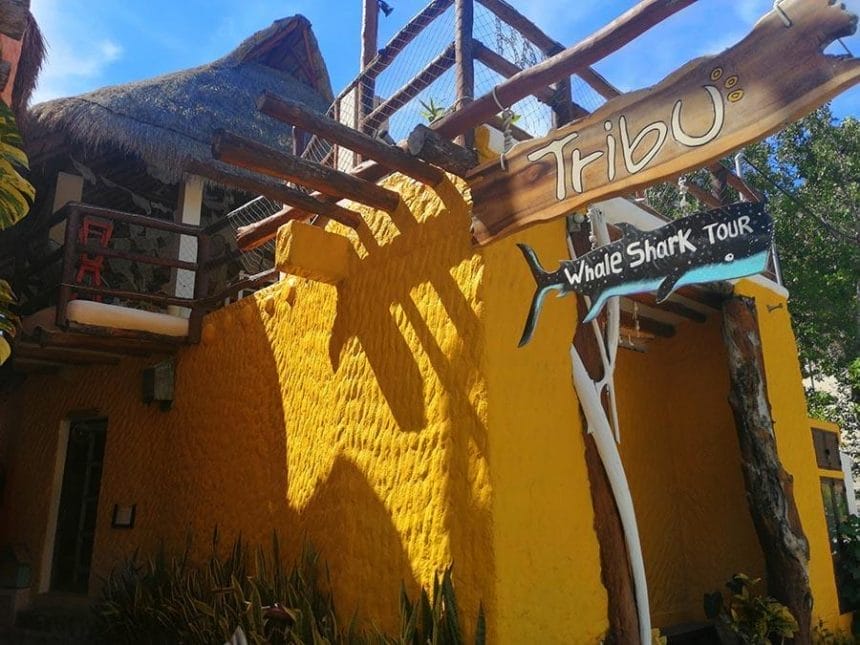 Budget Hotels in  Isla Holbox- Tribu hostel front door holbox