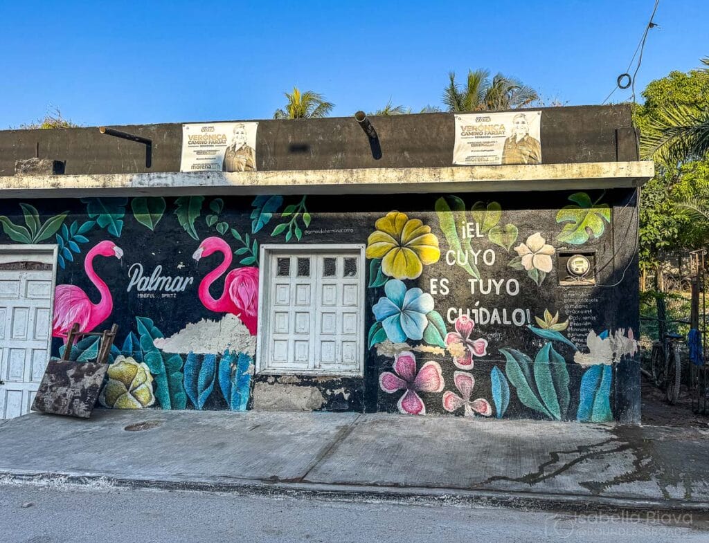El Cuyo Murals
