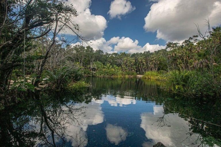 Serene landscape with lush greenery and a reflective pond under a partly cloudy sky. Trees surround the water, creating a tranquil, natural setting.