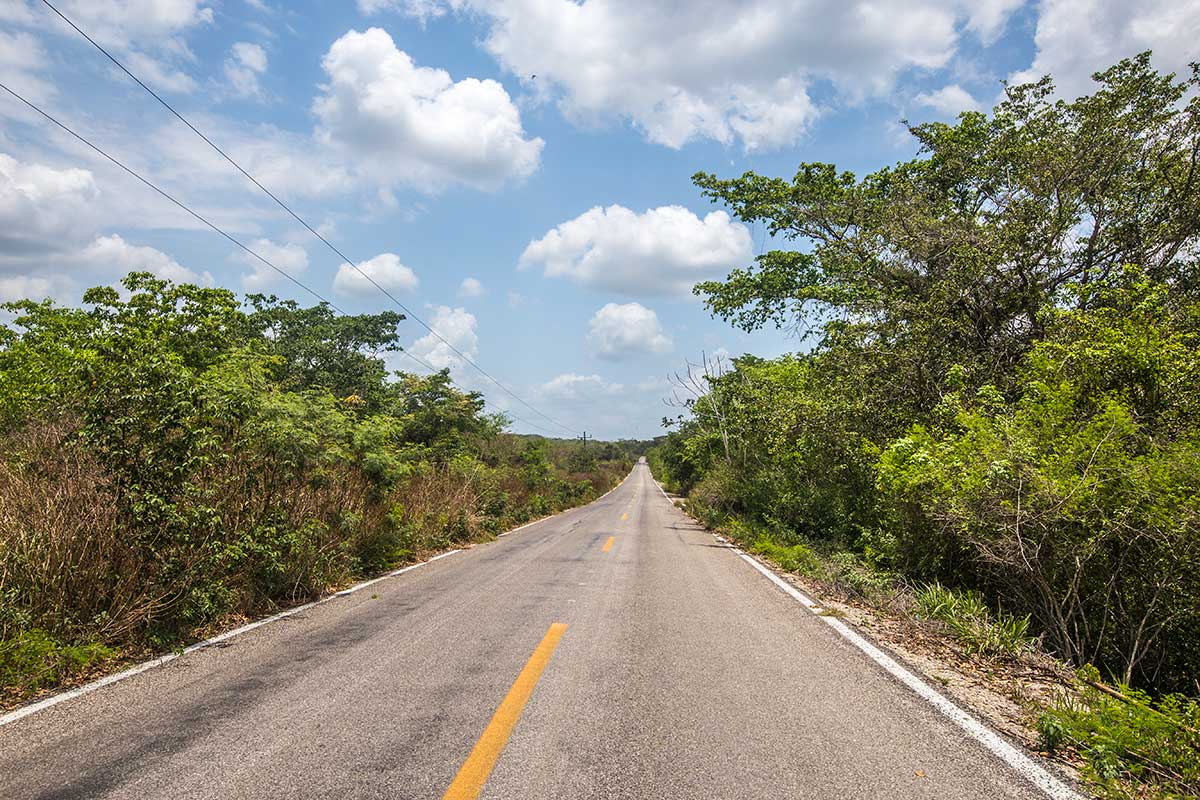 CALAKMUL MAYAN RUINS 