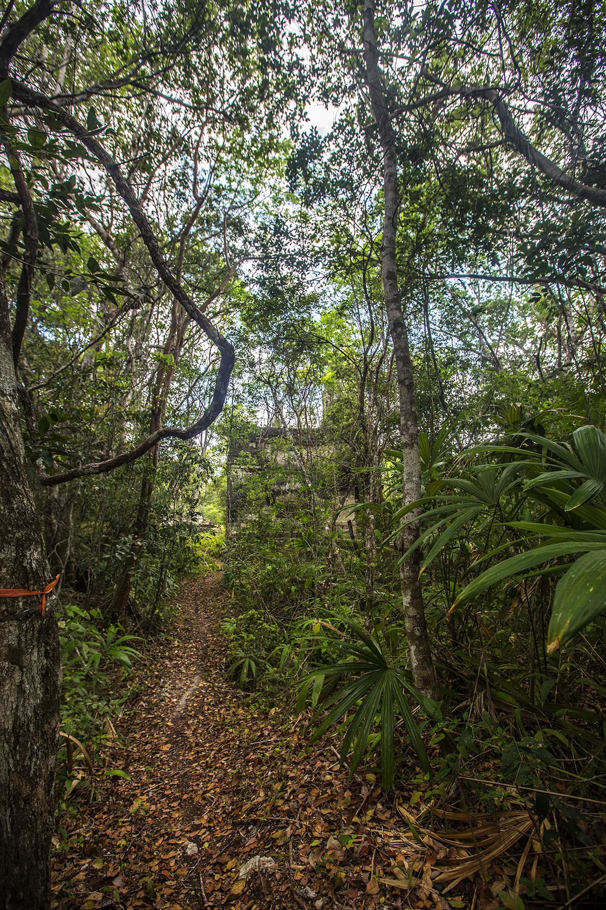 Calakmul