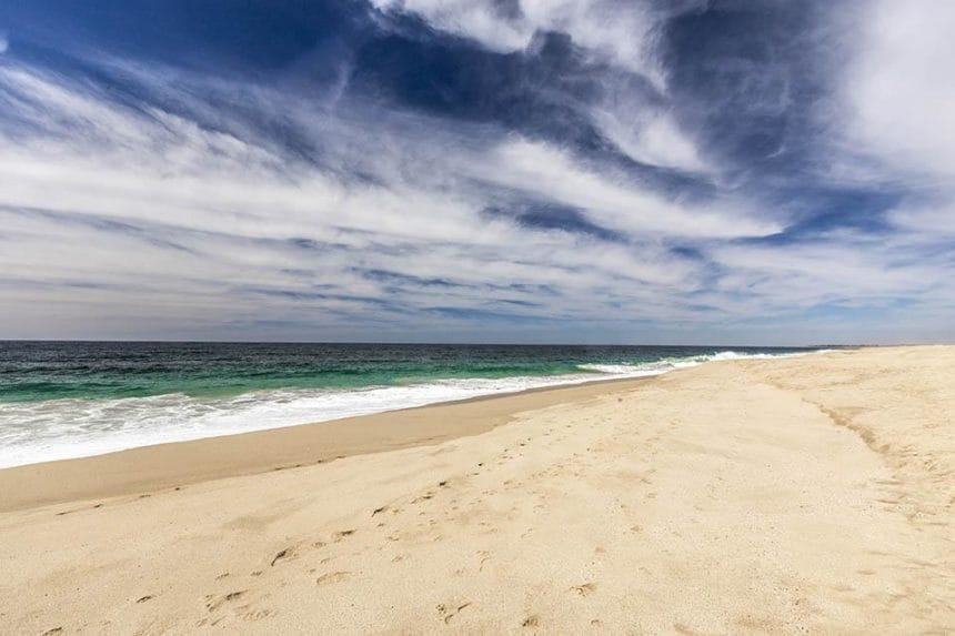 THINGS TO DO IN TODOS SANTOS MEXICO