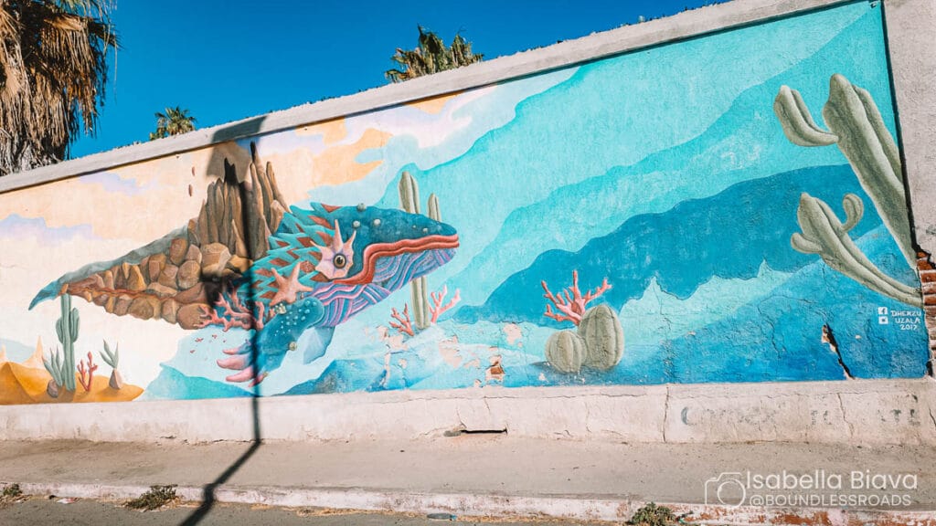 A vibrant mural of a colorful whale with surreal elements, surrounded by cacti and mountains. Bright blue sky overhead, shadow visible.